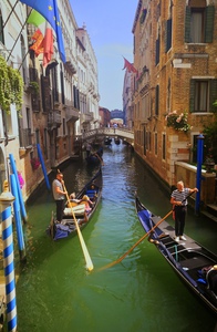 Summer in Venice