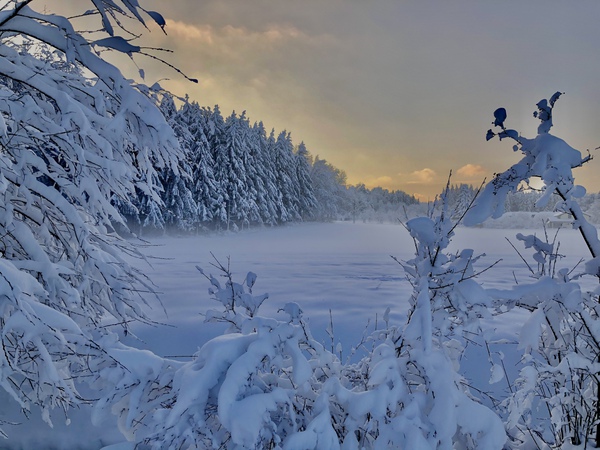 Winter Wonderland Print