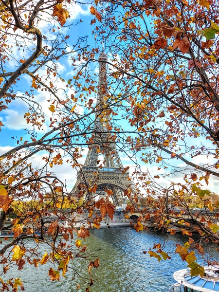 Paris in Autumn Print