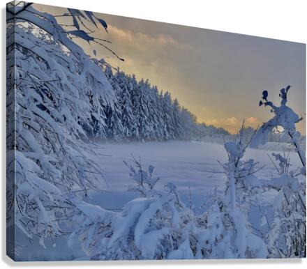 Winter Wonderland Canvas Print